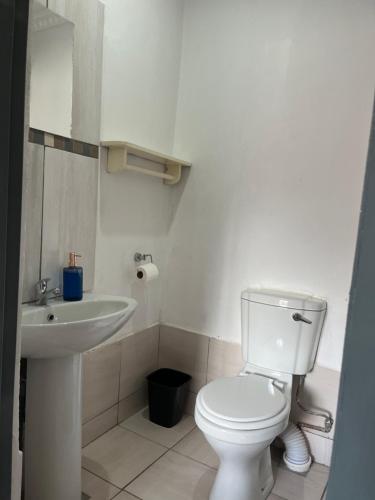a bathroom with a white toilet and a sink at Ashridge Guesthouse & Safaris in Hazyview