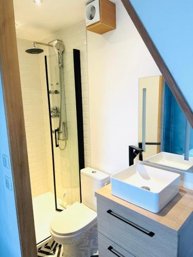 une salle de bain avec un lavabo, des toilettes et une douche dans l'établissement Cosy Maison aux portes de paris, à Colombes