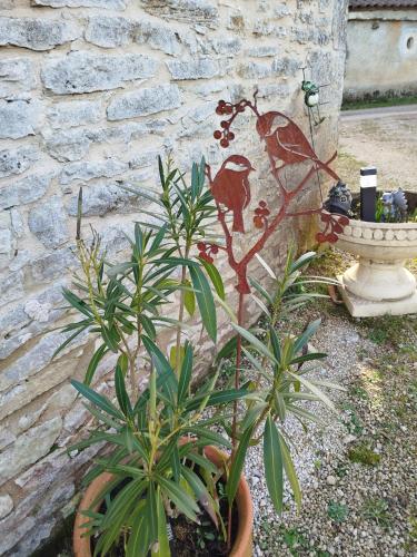 a couple of plants in front of a stone wall at Gite Le petit moineau in Corgnac-sur-lʼIsle