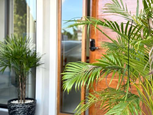 two potted plants sitting in front of a door at Thapmu-homie in Ban Lam Ru (1)