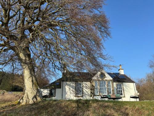 a white house with a tree in front of it at Gorgeous boutique off-grid cottage near Peebles in Peebles