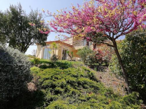 a house with a flowering tree in front of it at Fantastic Large Villa with Garden, Pool and Jacuzzi in Néffiès
