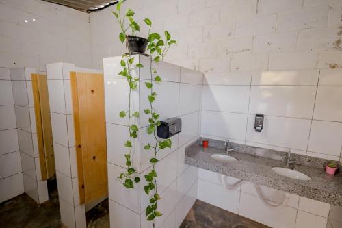 a bathroom with two sinks and a plant at Espaço 27 - vista para a Serra de Caldas in Caldas Novas