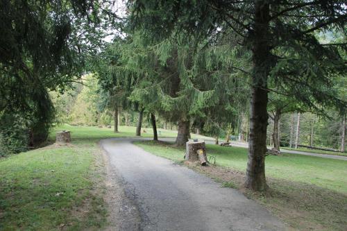 a dirt road in a park with trees and grass at Antica Dimora del Portico in Borgiallo