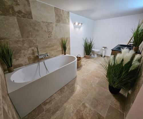 La salle de bains est pourvue d'une baignoire et de plantes en pot. dans l'établissement Appartement provençal 10 personnes, au Castellet