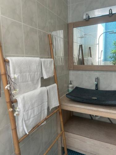 La salle de bains est pourvue d'un sèche-serviettes, d'un lavabo et d'un miroir. dans l'établissement Studio in nature 5 minutes from Montpellier North, à Saint-Clément-de-Rivière