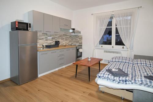 Kuchyň nebo kuchyňský kout v ubytování Apartmány Daros