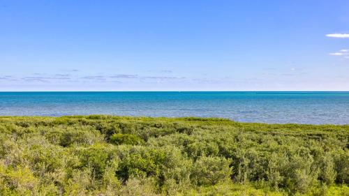 an open field with the ocean in the background at Ocean View Treehouse Double King Suite 3403 in Tavernier