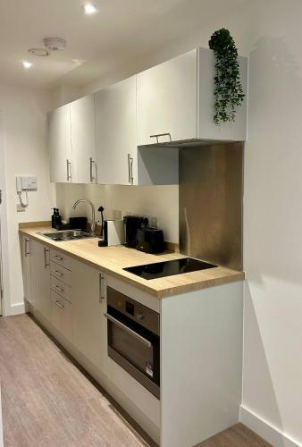 Kuchyň nebo kuchyňský kout v ubytování Redcross studio flat 118