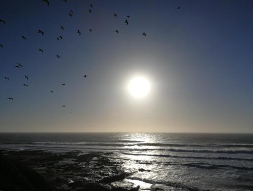 a flock of birds flying over the ocean at Tasra Surf Paradise, Imsouane in Imsouane
