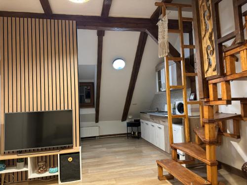 TV a/nebo společenská místnost v ubytování Muresenilor Central Apartments Brasov