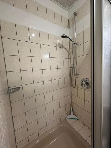 a bathroom with a shower with a tub at Ferienhaus Löwenherz in Pommern