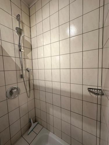 a bathroom with a shower and a sink at Ferienhaus Löwenherz in Pommern