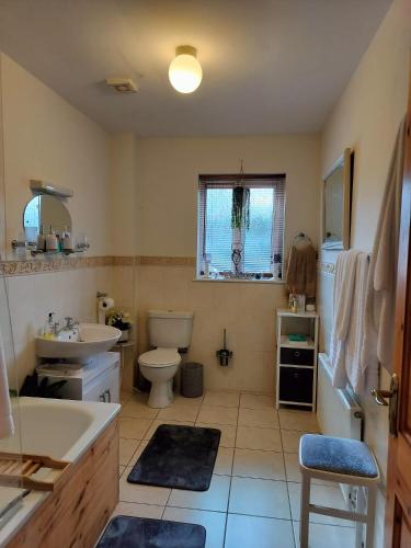 a bathroom with a sink and a toilet and a window at Cozy Holiday Home in the Scenic Glen of Aherlow in Aherlow