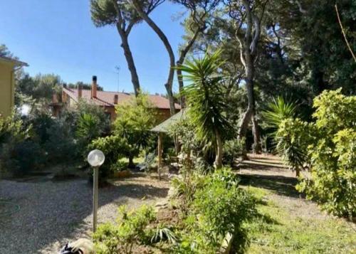 une cour avec une maison, des arbres et une maison dans l'établissement Casa Nora, à Castiglioncello