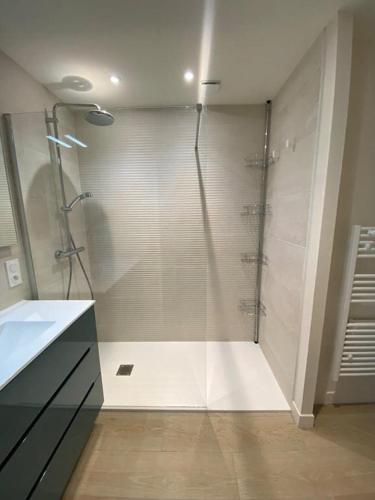 a bathroom with a shower with a glass door at Maison - Au bord de la Dordogne - Périgord in Castelnaud La Chapelle