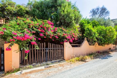 Afbeelding uit fotogalerij van Near the Beach, 2parking, BBQ, WiFi, Air conditioning in Torre delle Stelle