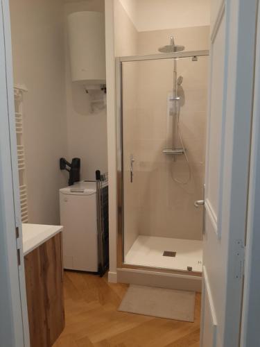 une douche avec une porte vitrée dans une salle de bain dans l'établissement Haussmannien rénové et climatisé, Centre de Lyon, à Lyon