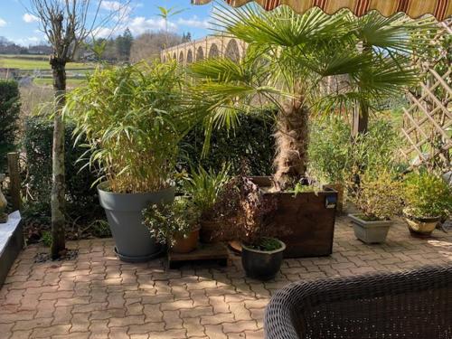 a patio with a bunch of potted trees and plants at Chambre avec terrasse in LʼIsle-Jourdain