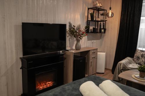 TV a/nebo společenská místnost v ubytování Aare Accommodation