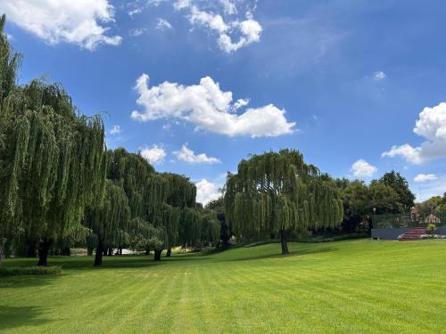 a field with trees and a blue sky with clouds at The Angel River Villa in Meyerton