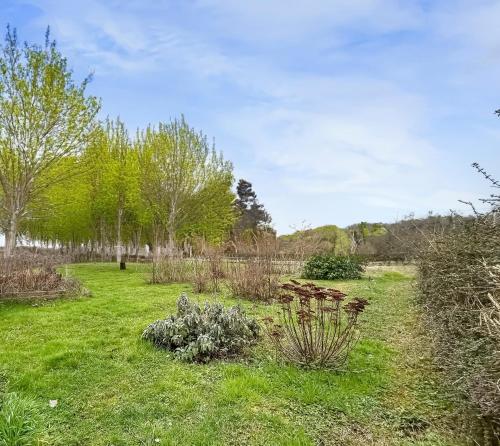 a garden with some plants in the grass at Gite Des Prés in Eymeux