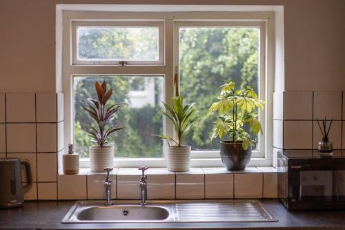 Large House, Garden, 3 Bedrooms photo 15