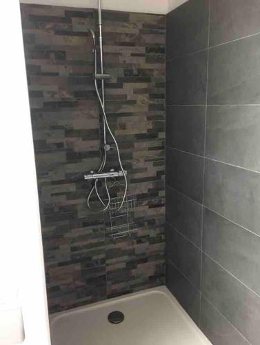 La salle de bains est pourvue d'une douche et d'un mur en briques. dans l'établissement Magnifique appartement vue mer et montagne à Solenzara Corse, à Sari-Solenzara