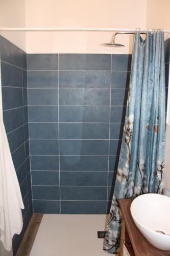 a bathroom with a blue shower curtain and a sink at Art b&b Gli Aironi in Pomposa