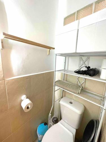 Elle comprend une petite salle de bains pourvue de toilettes et d'un rouleau de papier toilette. dans l'établissement Studette downtown Pertuis, à Pertuis