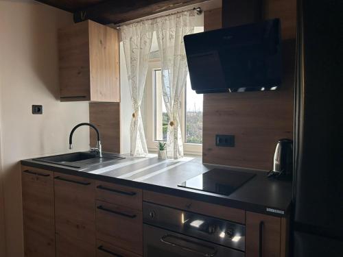 a kitchen with a sink and a window at Casa Anka in Gračišće