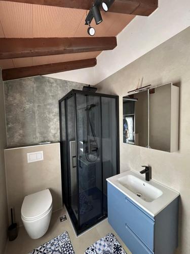 a bathroom with a shower and a toilet and a sink at Casa Anka in Gračišće