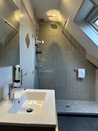 a bathroom with a sink and a shower at Logis Hôtel Notre-Dame - restaurant ouvert midi et soir sauf dimanche soir in Danne-et-Quatre-Vents