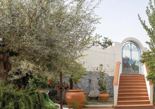 Κήπος έξω από το LA VILLA AURELIA