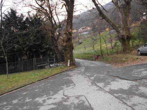 a road with a tree and a car on it at Casa la Selva in Pura