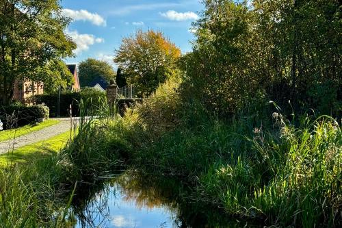 a river with tall grass next to a sidewalk at Hausboot "Seestern" in Bad Bederkesa