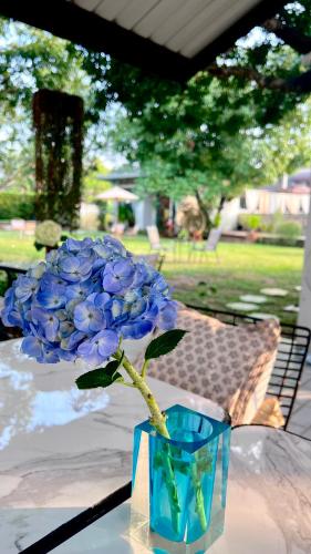 Zahrada ubytování UDEE Cozy Hotel