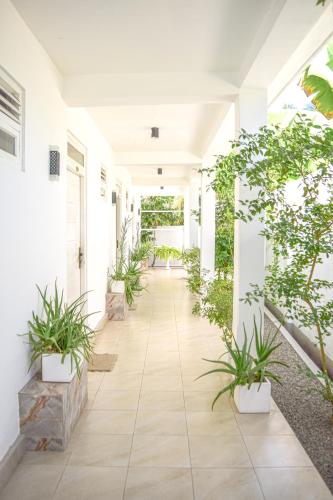 Jardin de l'établissement The Bamboo Tree Transit Hotel