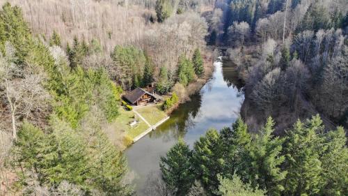 an aerial view of a house next to a river at Chalet du Schlossthal - Étang in Lemberg
