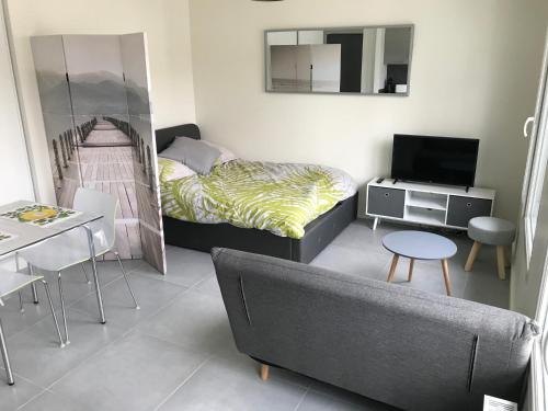 un salon avec un canapé et un lit dans l'établissement M84 Marquer joli studio môle, à Annemasse