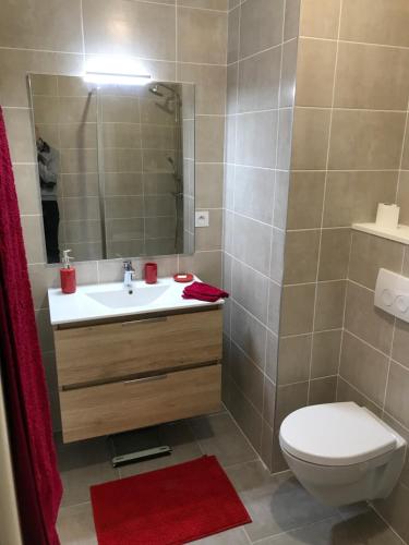 une salle de bain avec un lavabo, des toilettes et un miroir dans l'établissement M84 Marquer joli studio môle, à Annemasse
