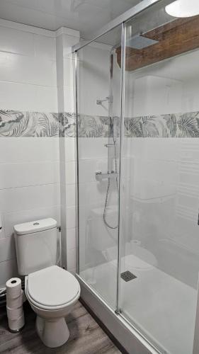 une salle de bain avec toilettes et douche en verre dans l'établissement Escapade au coeur des thermes et volacans, à Royat