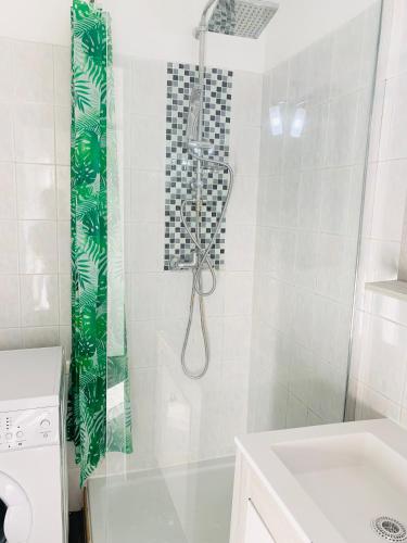 une salle de bain avec douche et lavabo dans l'établissement Terrasse au pied de la gare, à Marseille