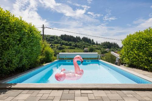- une piscine avec un cygne en plastique dans l'eau dans l'établissement Chalet LES BICHES LUCY, à Gérardmer