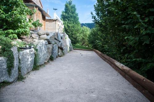 Chalet LES BICHES LUCY