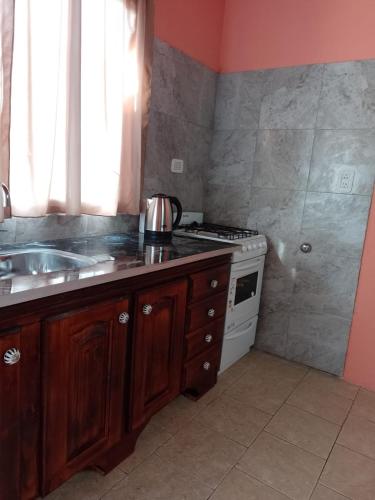 a kitchen with a sink and a stove at Complejo Conejo in San Antonio de Areco