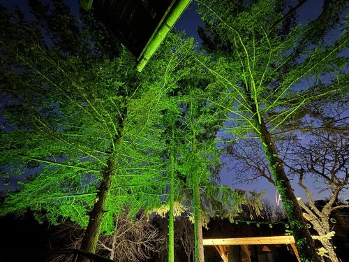 a tree in front of a building at night at Къща за гости Дени in Chukovezer
