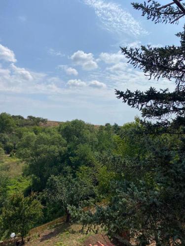 a view of a forest of trees on a hill at Къща за гости Дени in Chukovezer