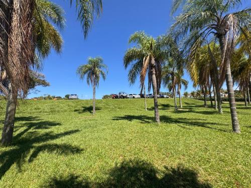 a group of palm trees in a field at Riviera Santa Cristina l in Arandu