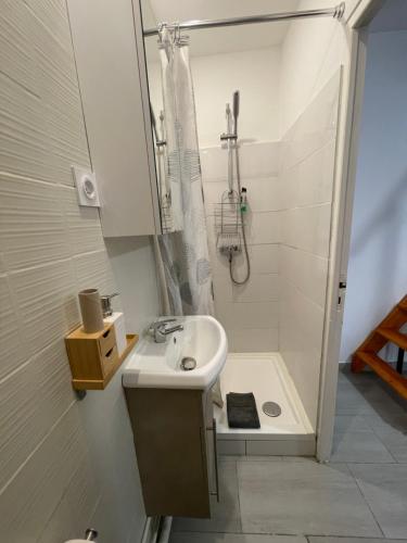 une petite salle de bain avec un lavabo et une douche dans l'établissement Chez Sonou , Nîmes centre, à Nîmes